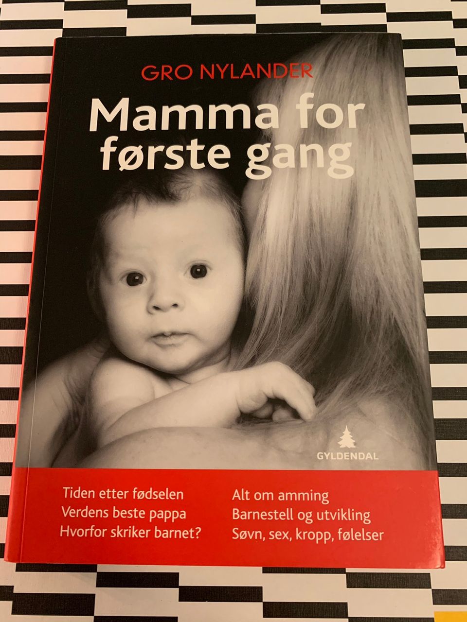 Bøker om svangerskap, fødsel, amming, barseltid og foreldrepermisjon